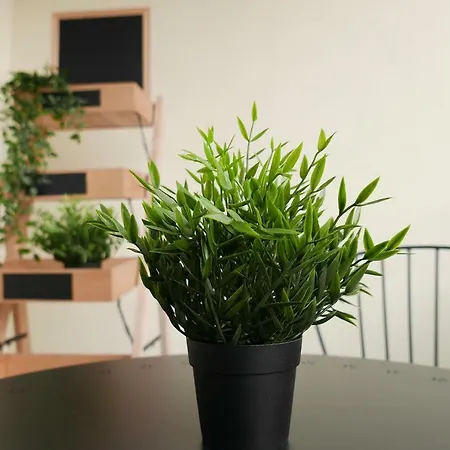 Апартаменти Jantarowa *